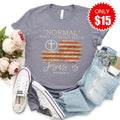 Normal Isn't Coming Back Tee - Heather Storm - 15 product image 1