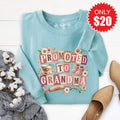 Promoted To Grandma Sweatshirt - Heather Lagoon - 20 product image 1