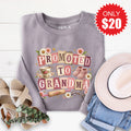 Promoted To Grandma Sweatshirt - Heather Storm - 20 product image 1