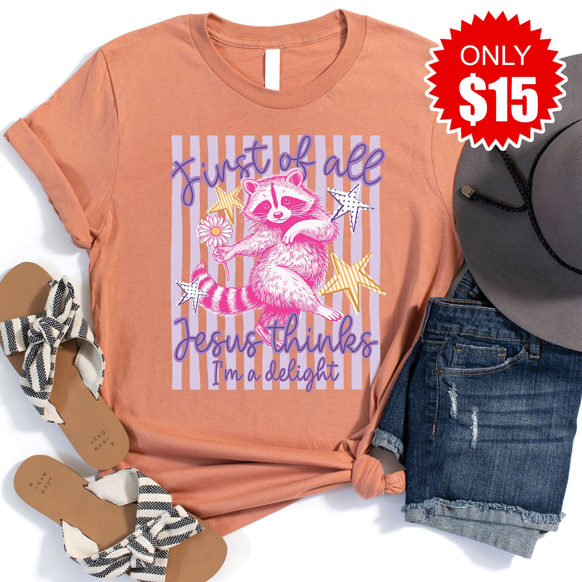 Jesus Thinks Im A Delight Tee - Heather Terracotta - 15 product image 1