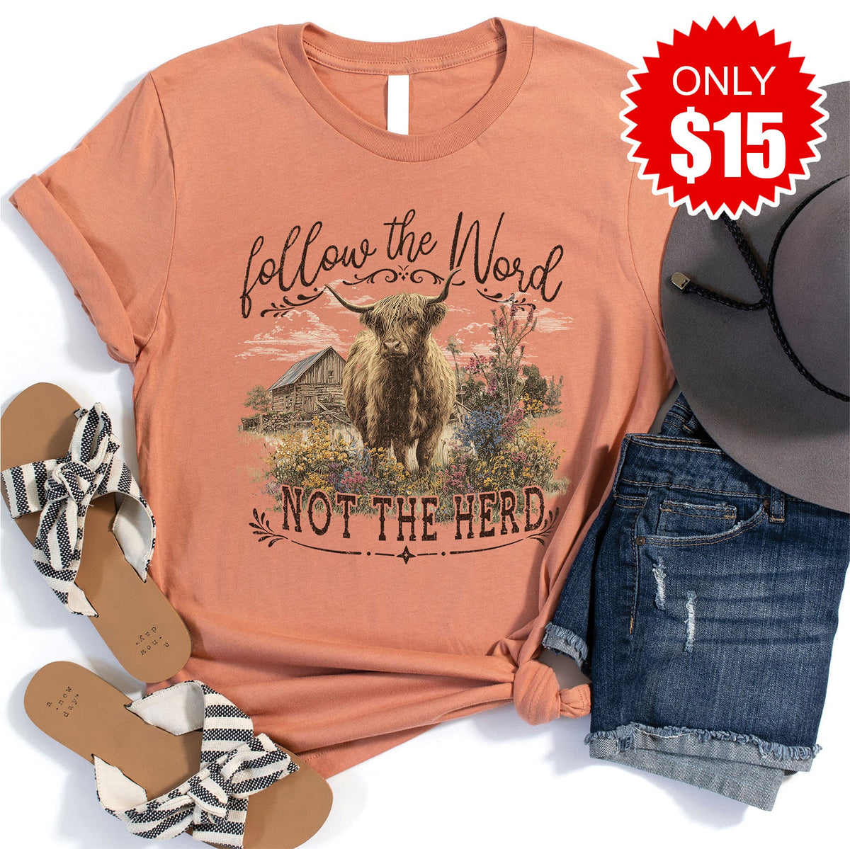 Follow the Word Tee - Heather Terracotta - 15 product image 1