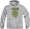 Action Poses Teenage Mutant Ninja Turtles Hoodie product image 1