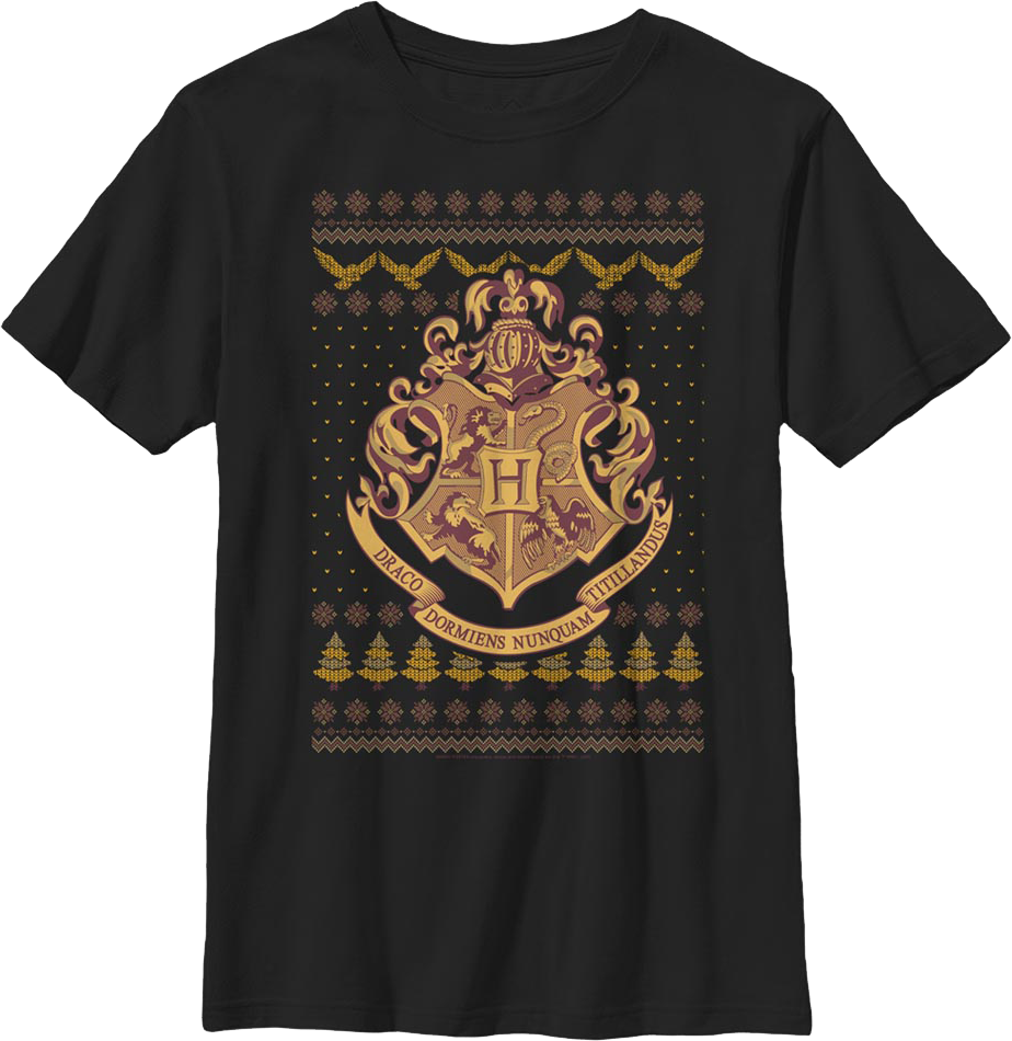 Boys Youth Hogwarts Faux Ugly Christmas Sweater Harry product image 1