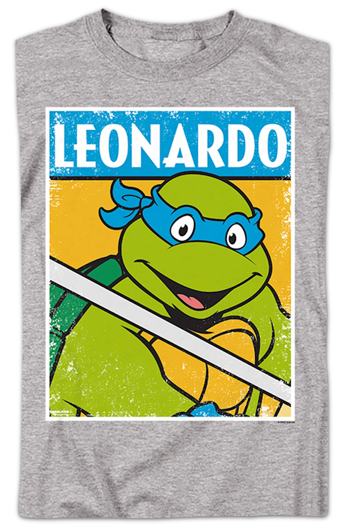 Distressed Leonardo Photo Teenage Mutant Ninja Turtles product image 2