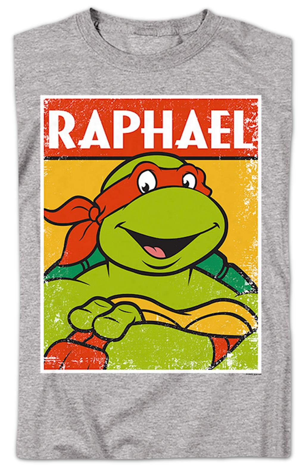 Distressed Raphael Photo Teenage Mutant Ninja Turtles product image 2