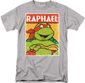 Distressed Raphael Photo Teenage Mutant Ninja Turtles product image 1