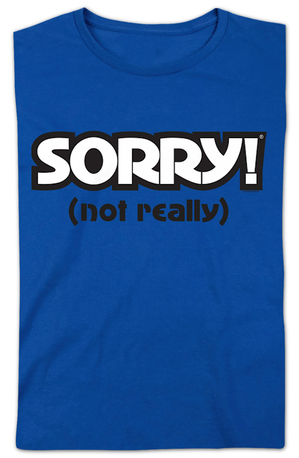 Womens Blue Sorry Shirt product image 2