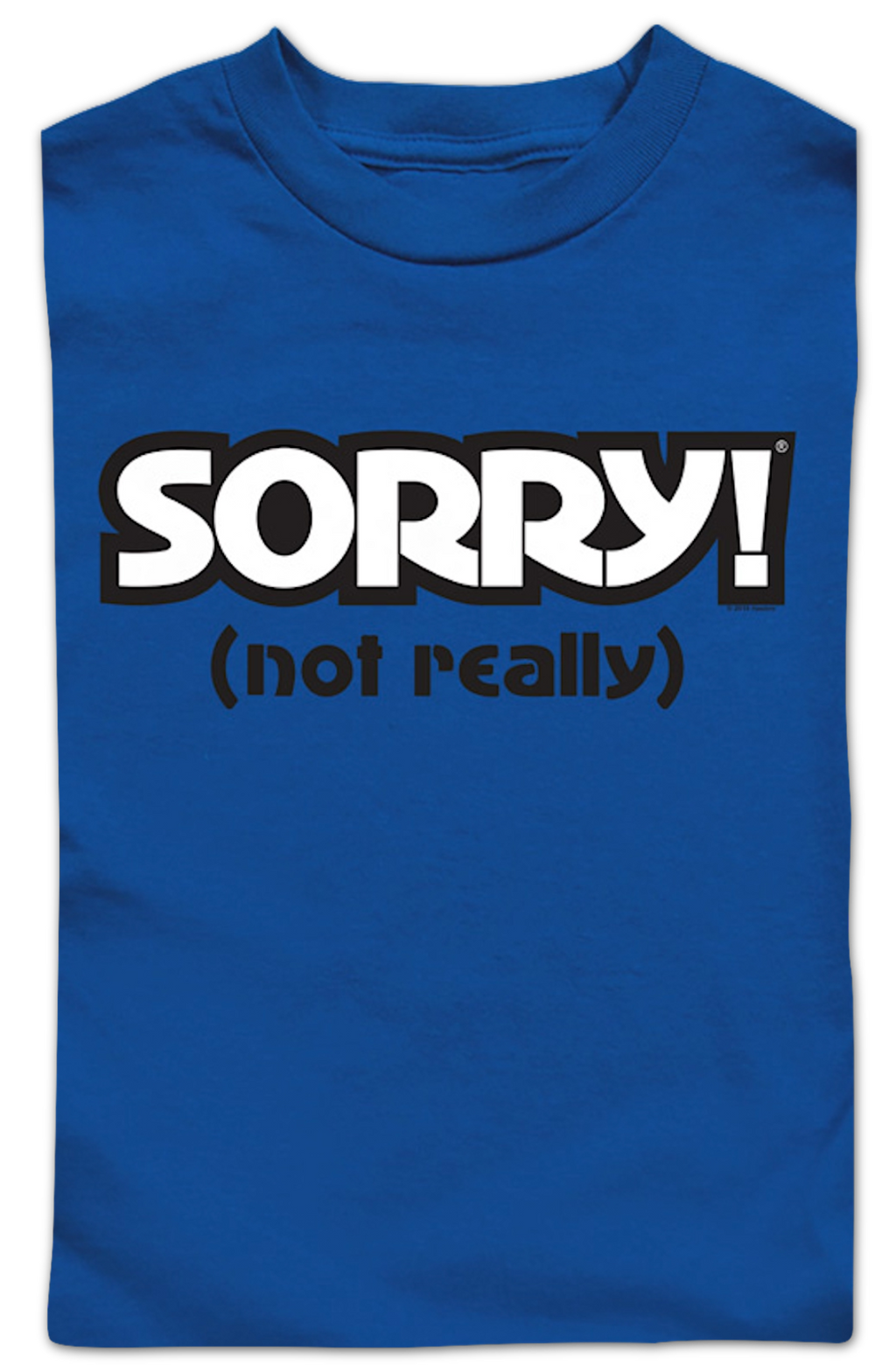 Youth Blue Sorry Shirt product image 2