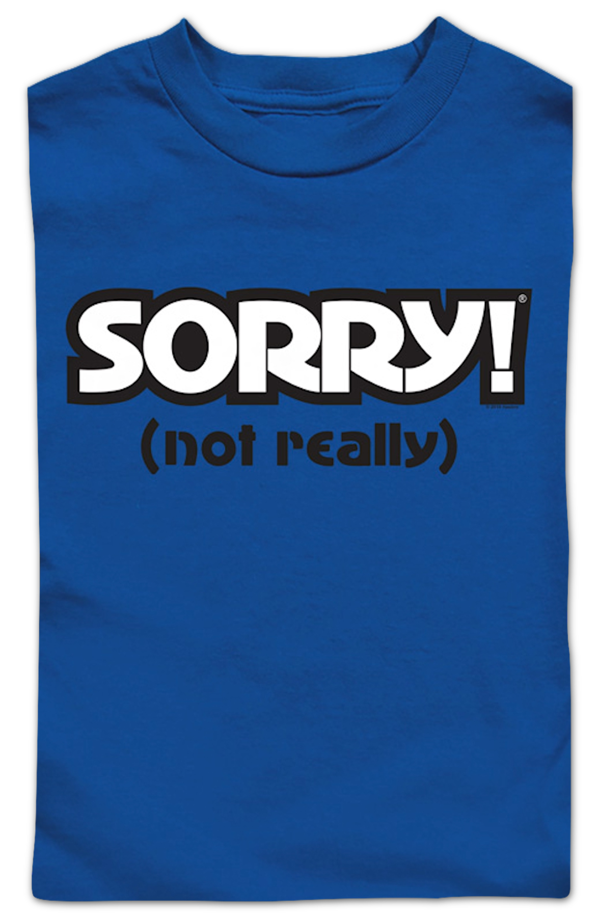Youth Blue Sorry Shirt product image 2